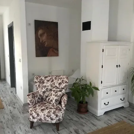 Al'cati Flaneur Кешме